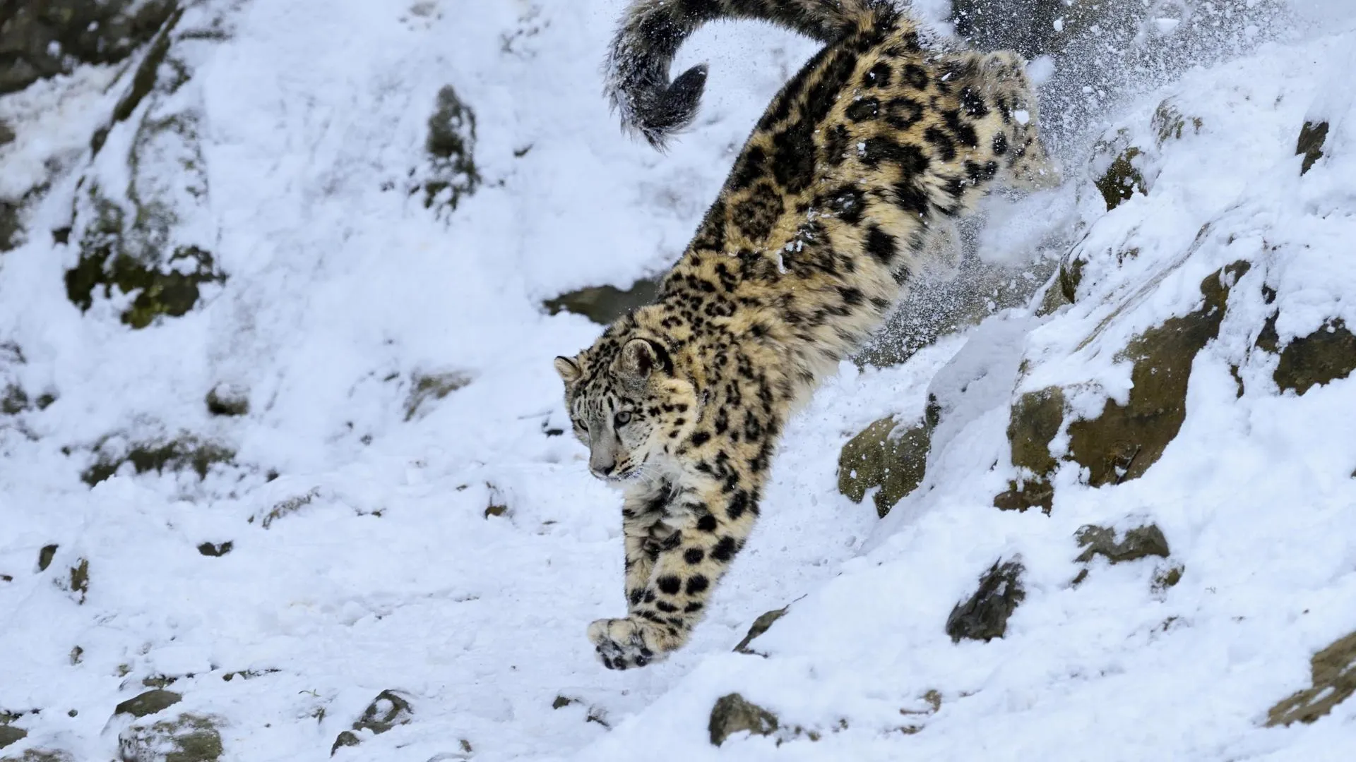 Stefan Huwiler/imageBROKER.com