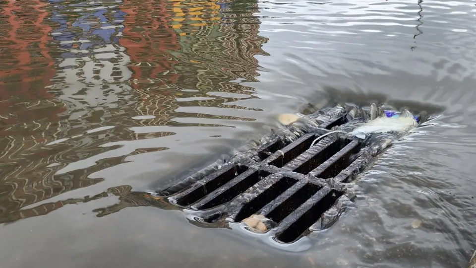 Фото: МедиаБанк Подмосковья/Марина Анисимова