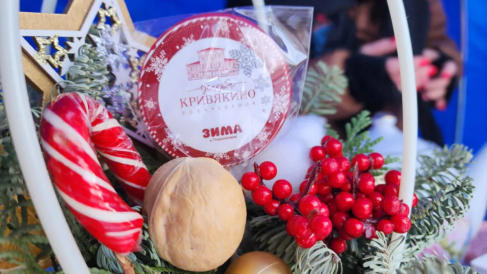 Фото: МедиаБанк Подмосковья/Светлана Плотникова