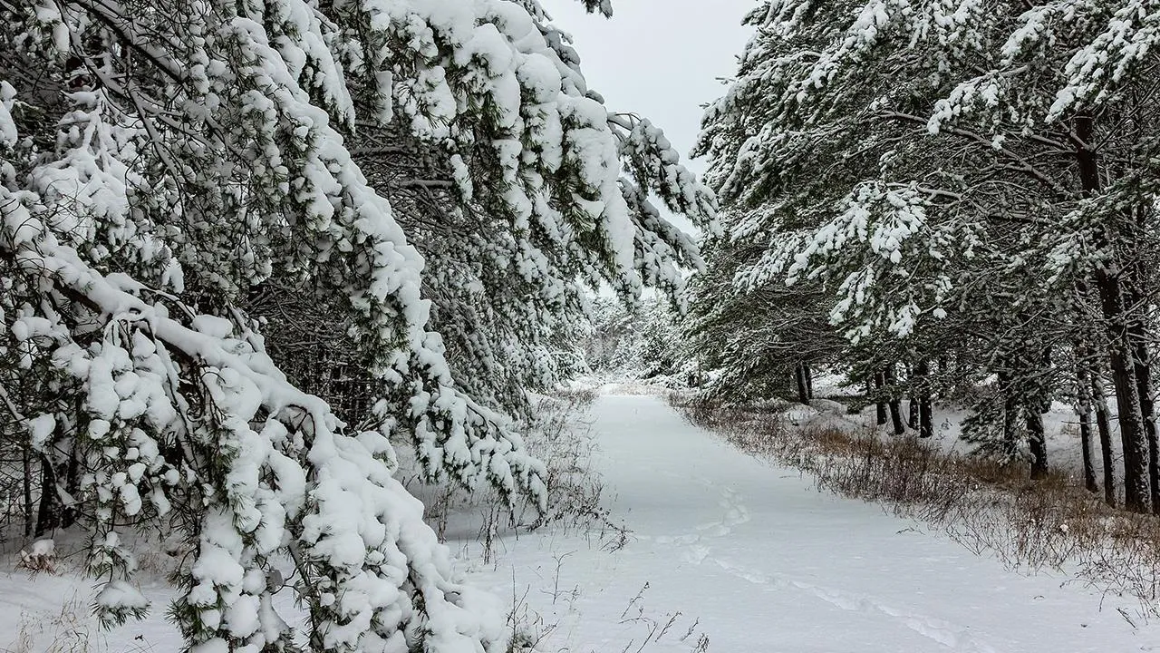 REGIONS/Антон Кондратюк