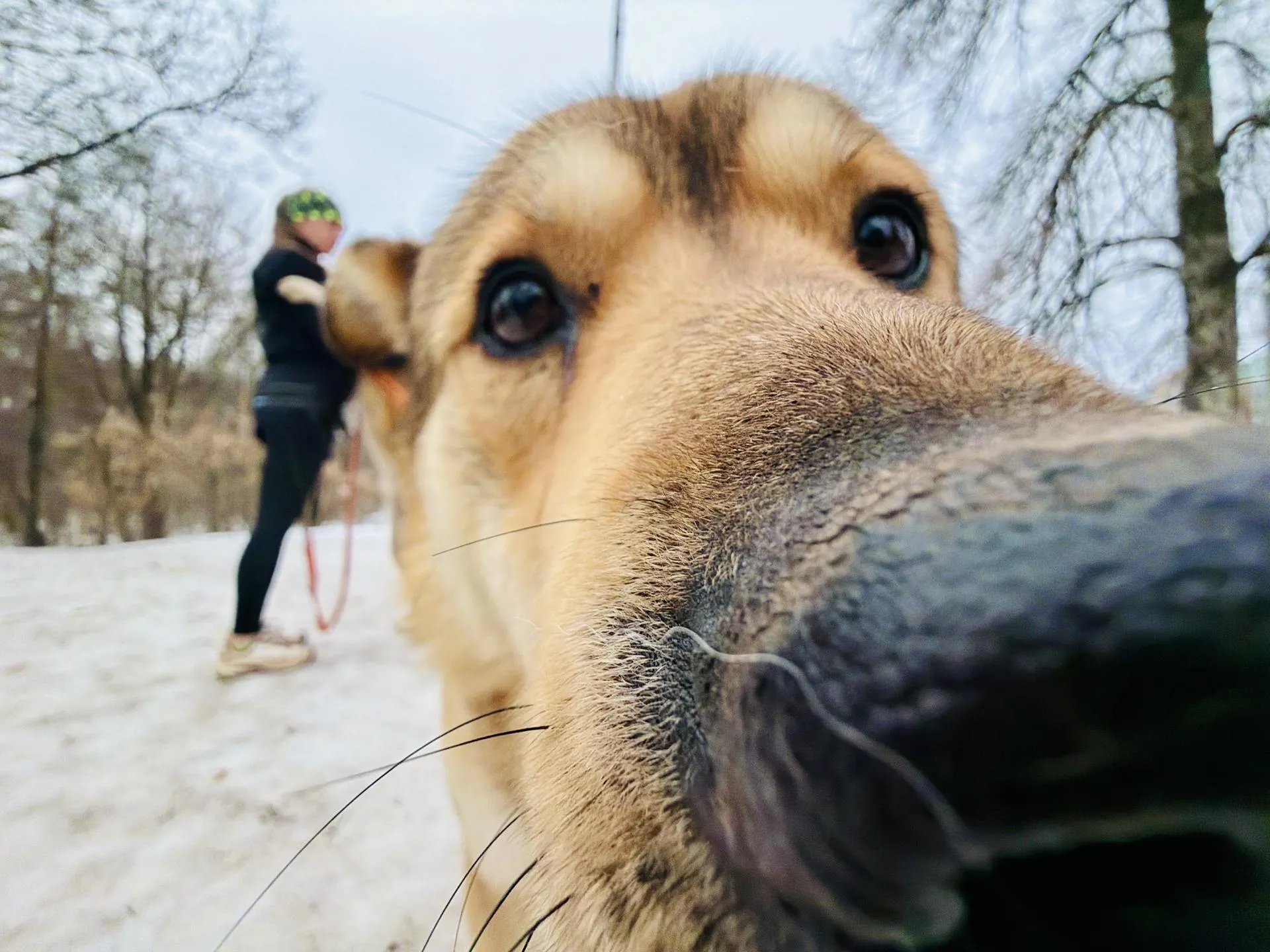 МедиаБанк Подмосковья/Ольга Стаферова