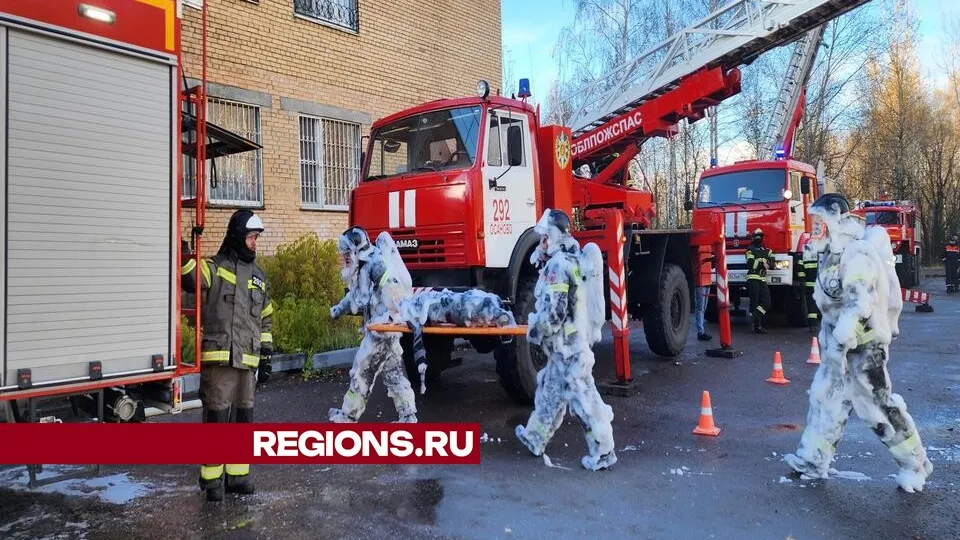 Фото: Анастасия Хренкова