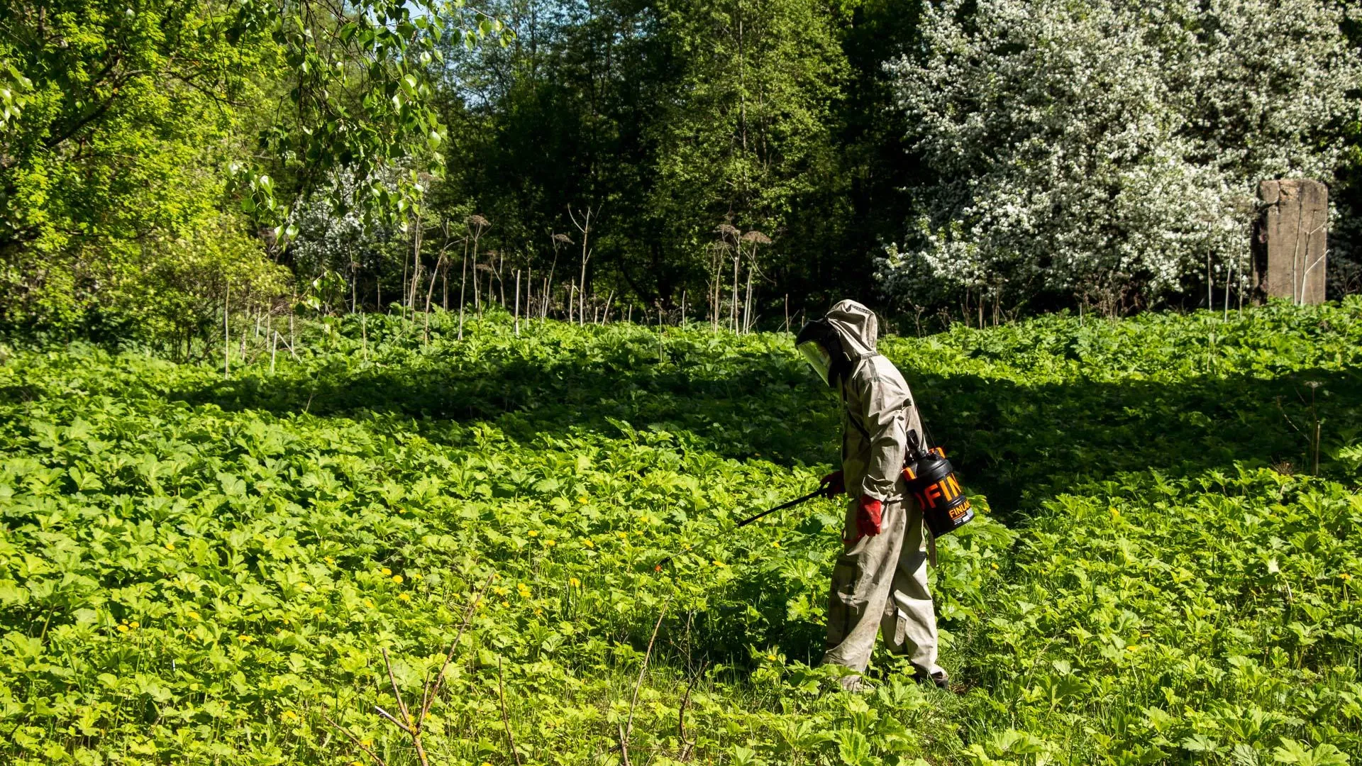 Фото: Медиаархив Подмосковья