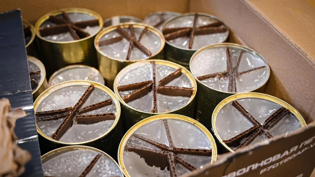 МедиаБанк Подмосковья/Данила Кирьянов