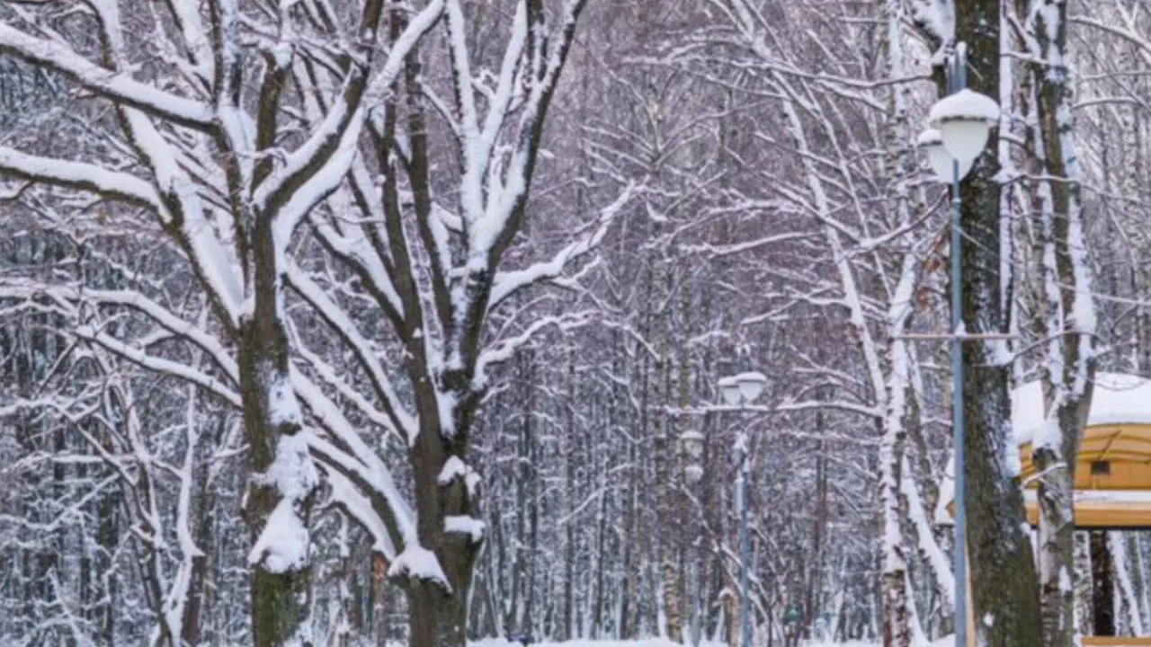 Фото: медиасток.рф