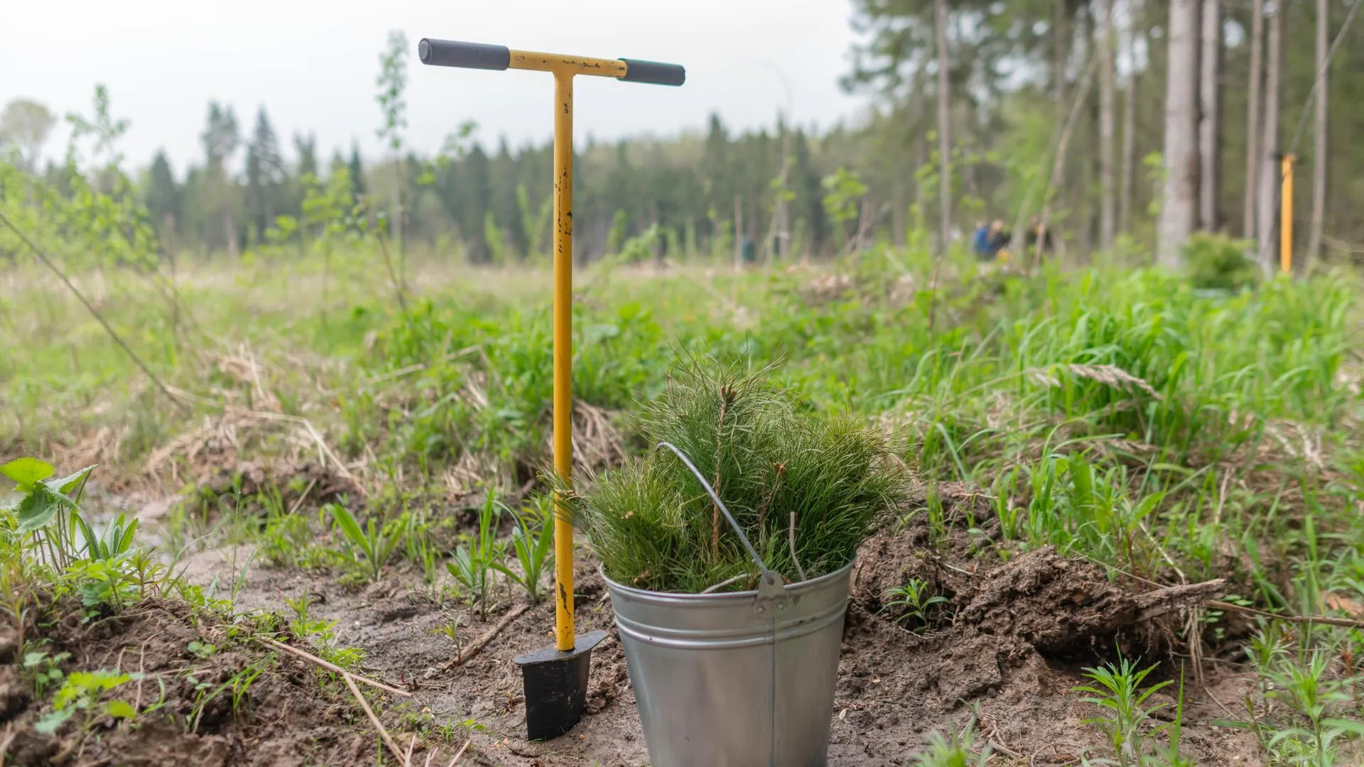 Фото: пресс-служба администрации Ленинского городского округа