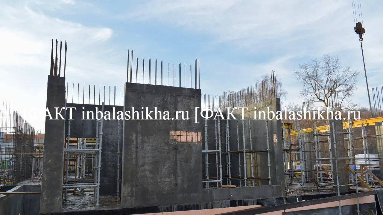 Фото: Алексей Кашпуров