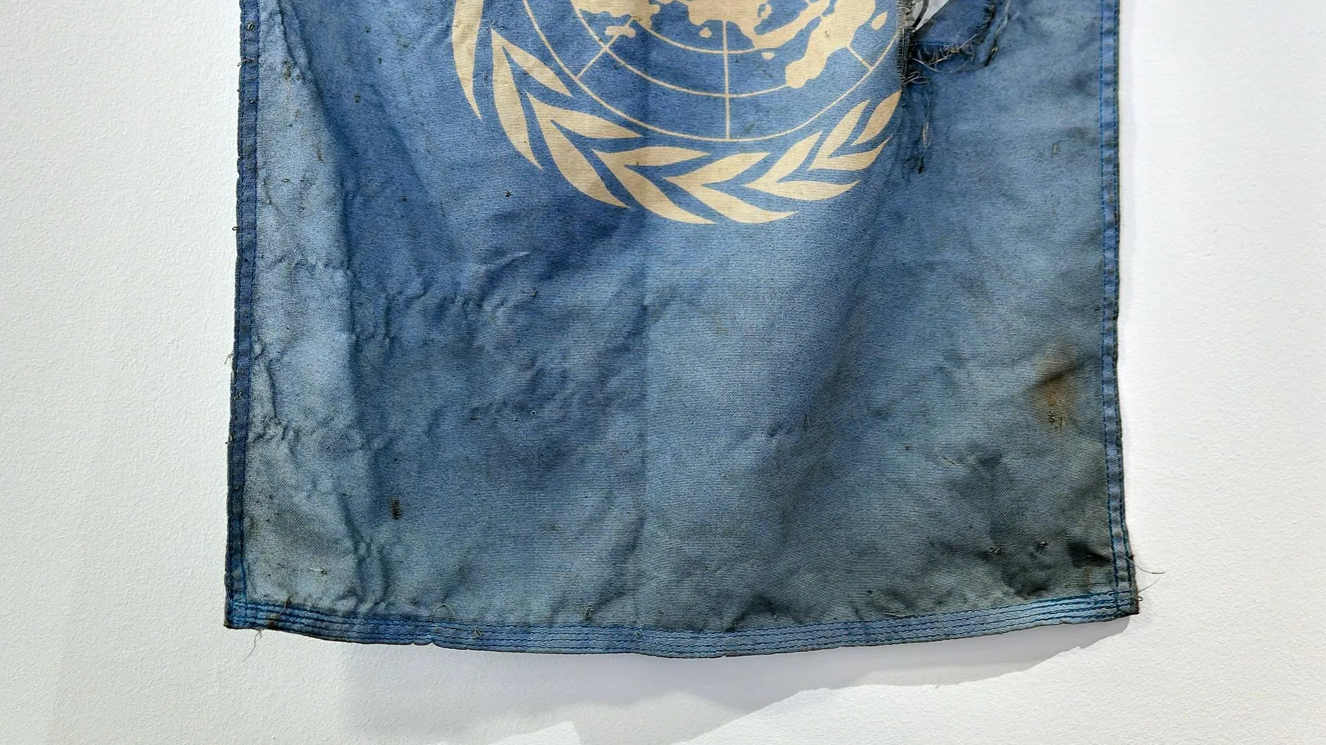 IMAGO/www.photowerkstatt.de