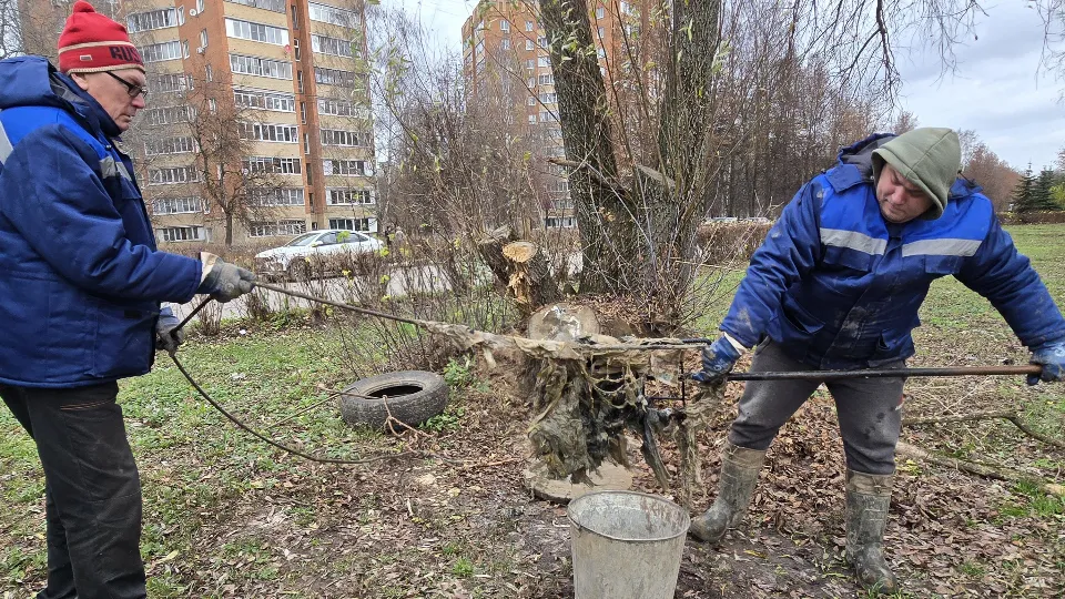 Фото: МедиаБанк Подмосковья/Марина Анисимова