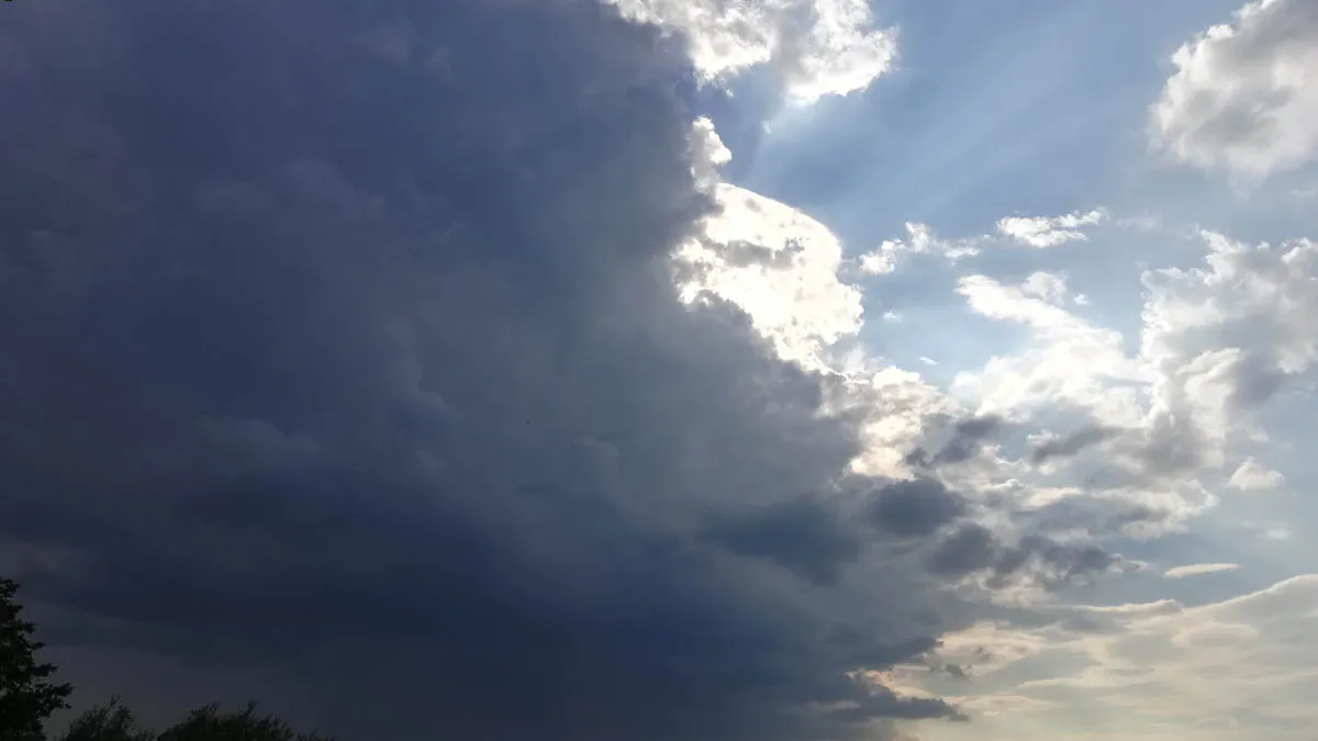 Фото: Дмитрий Кравцов