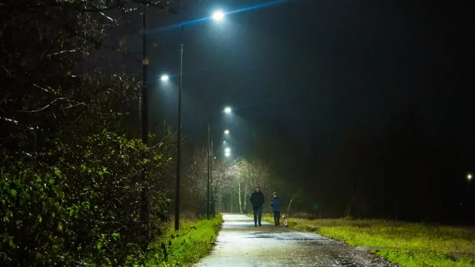 Фото: Министерство благоустройства Московской области