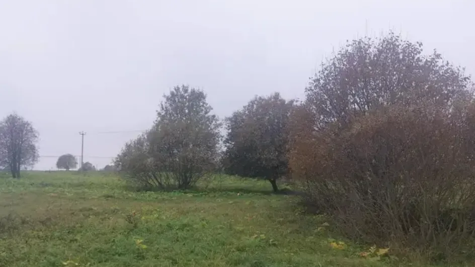 Фото: ЕАСУЗ