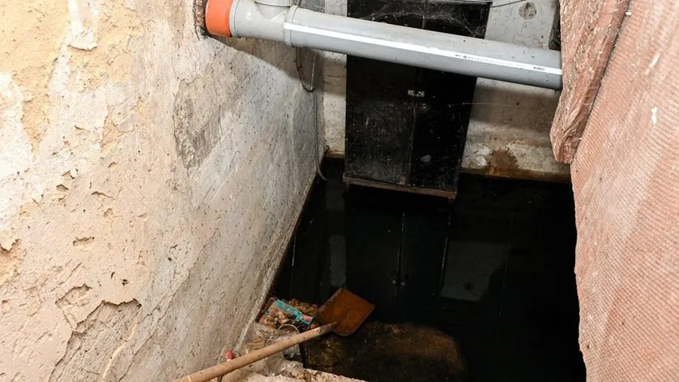 Фото: пресс-служба Администрации г.о. Серпухов