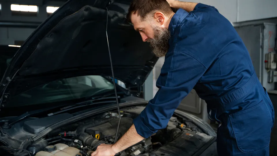 Фото: freepik.com