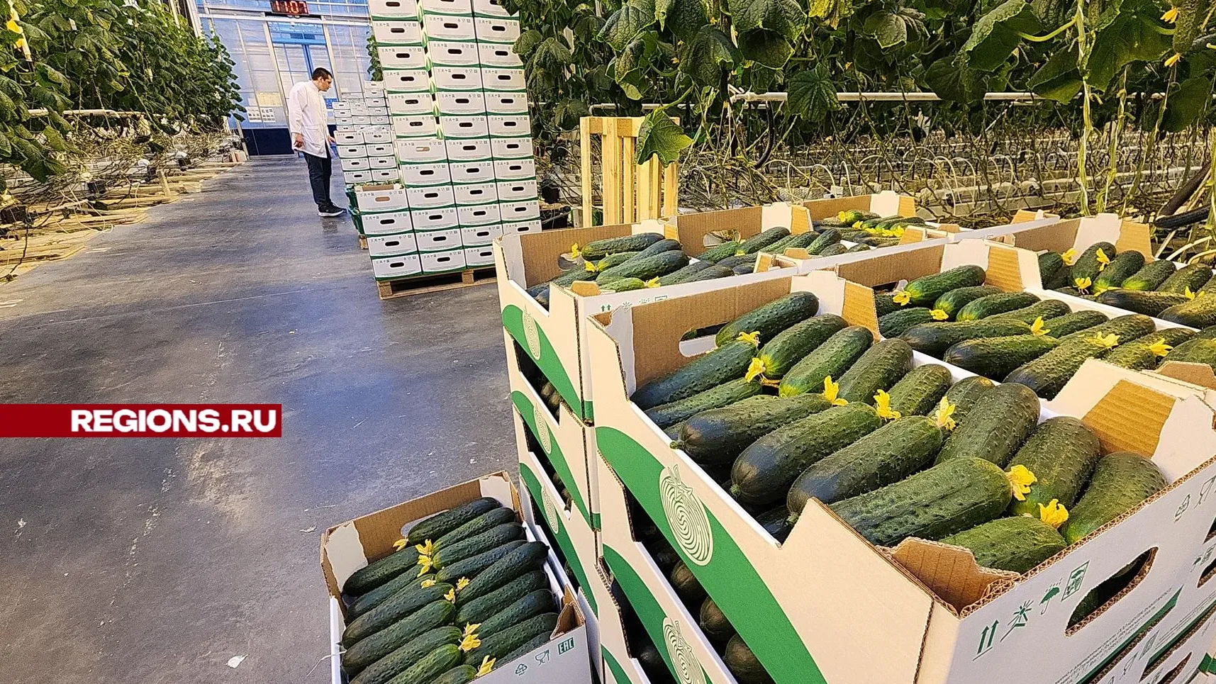 Фото: Нина Басистая