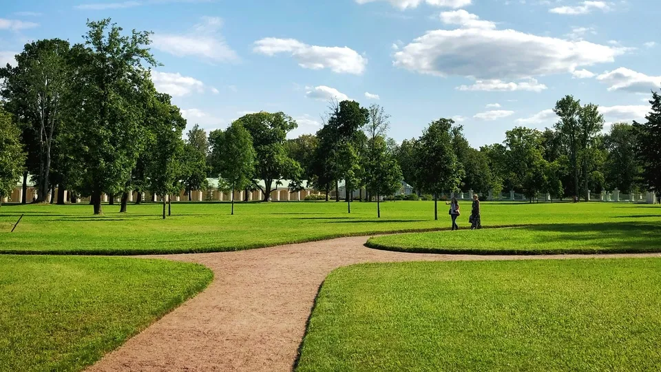 Фото: unsplash.com