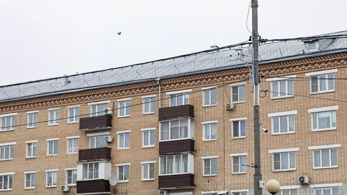 Фото: пресс-служба администрации  г.о. Сергиев Посад