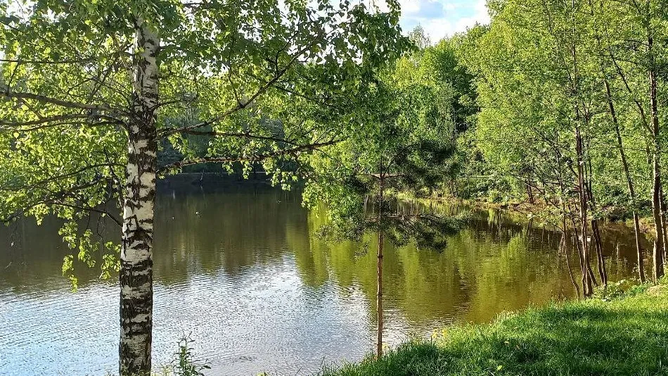 Фото: Олег Книжник