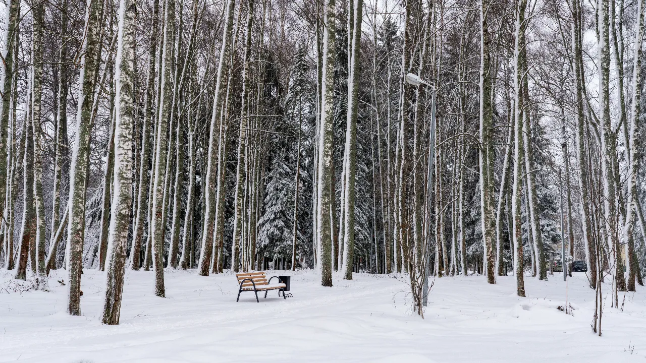 медиасток.рф