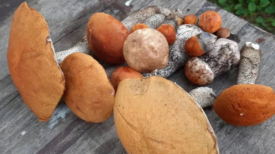 Фото: vk.com/Это Дмитров, детка!