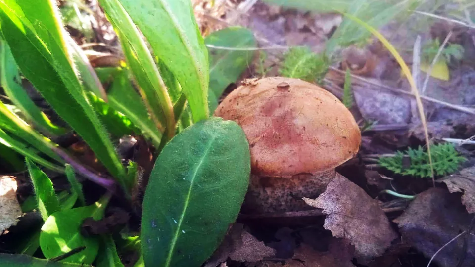 Фото: Павел Кондратьев