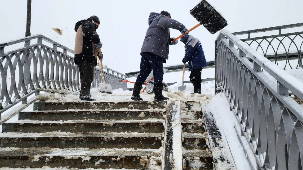 МедиаБанк Подмосковья/Максим Сафронов