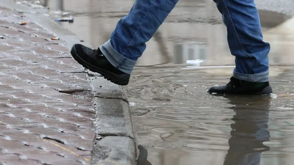 Фото: медиасток.рф