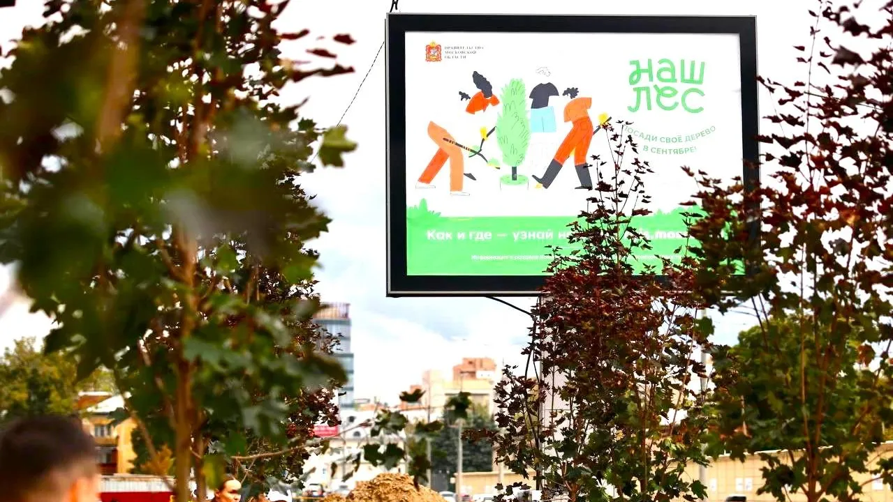 Комитет лесного хозяйства МО