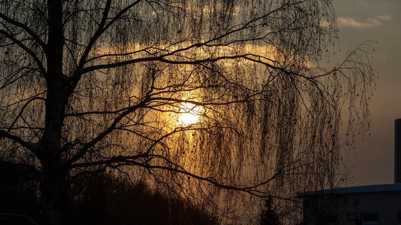 REGIONS/Роман Малышенко