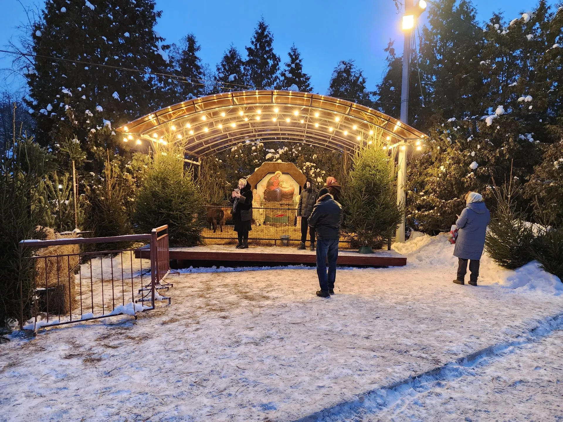 Фото: МедиаБанк Подмосковья/Ирина Моисеева