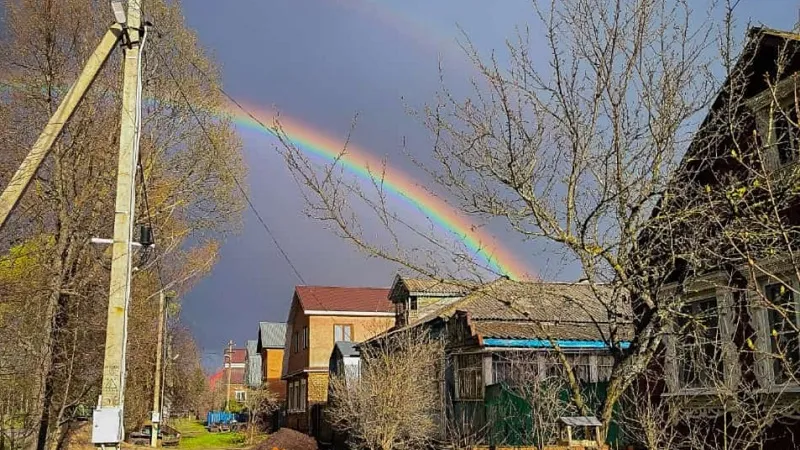 Фото: соцсети