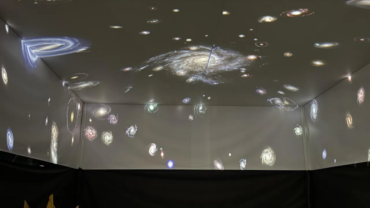 REGIONS/Анна Дука