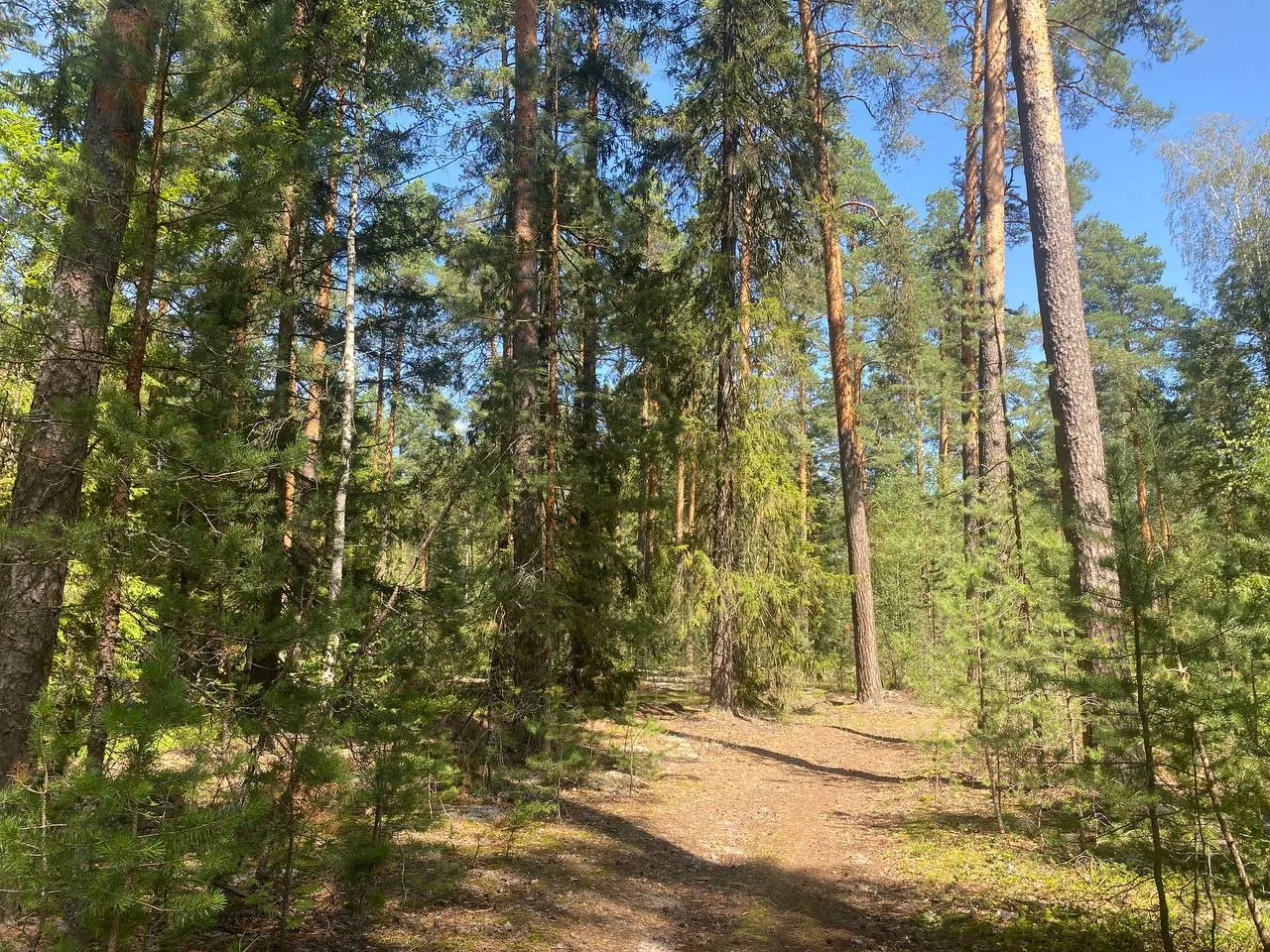 Фото: архив «Большой Шатуры»