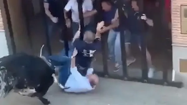 Скриншот видео ТГ-канал Shot