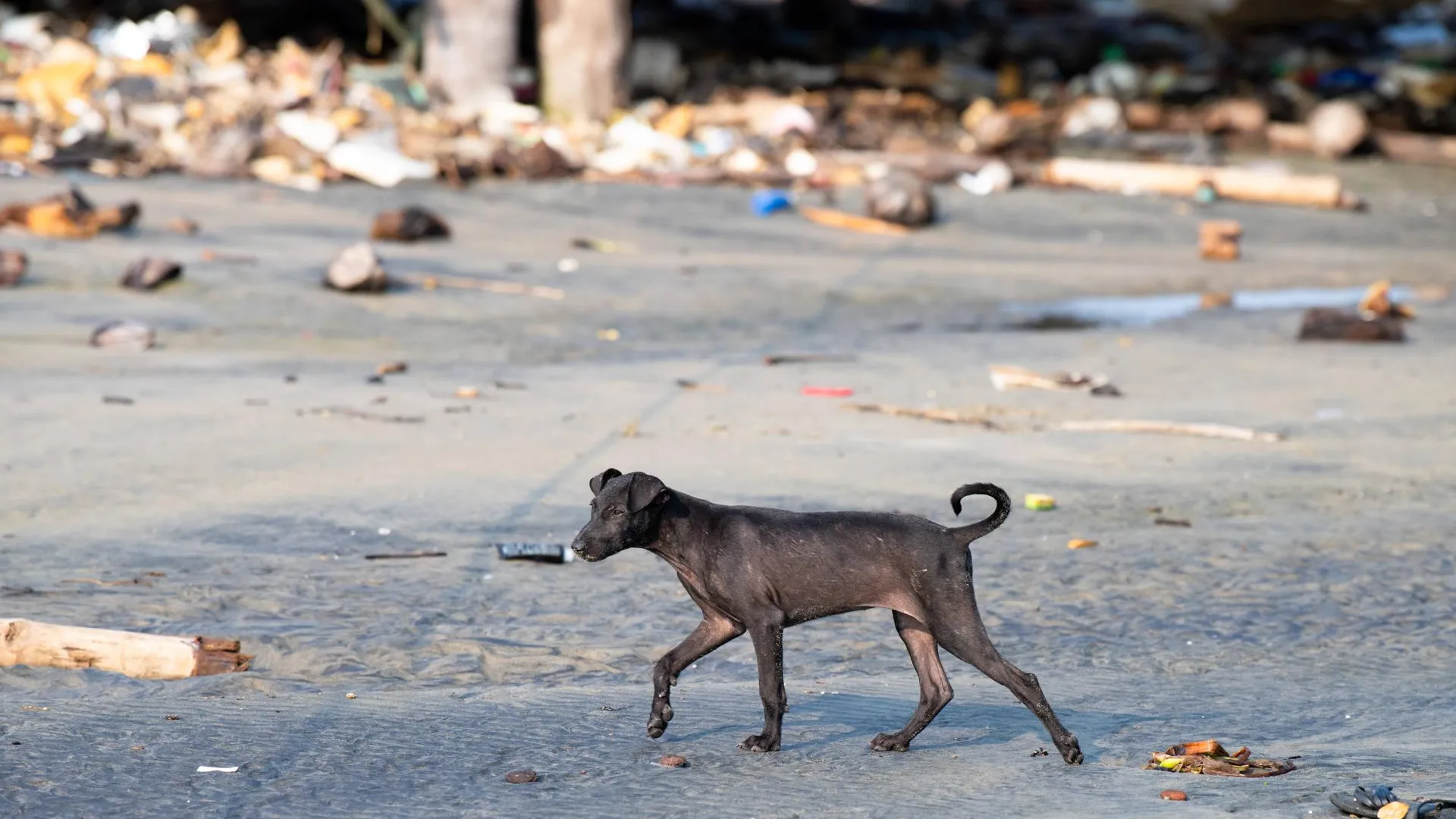 IMAGO/Zoonar.com/Berit Kessler/www.imago-images.de