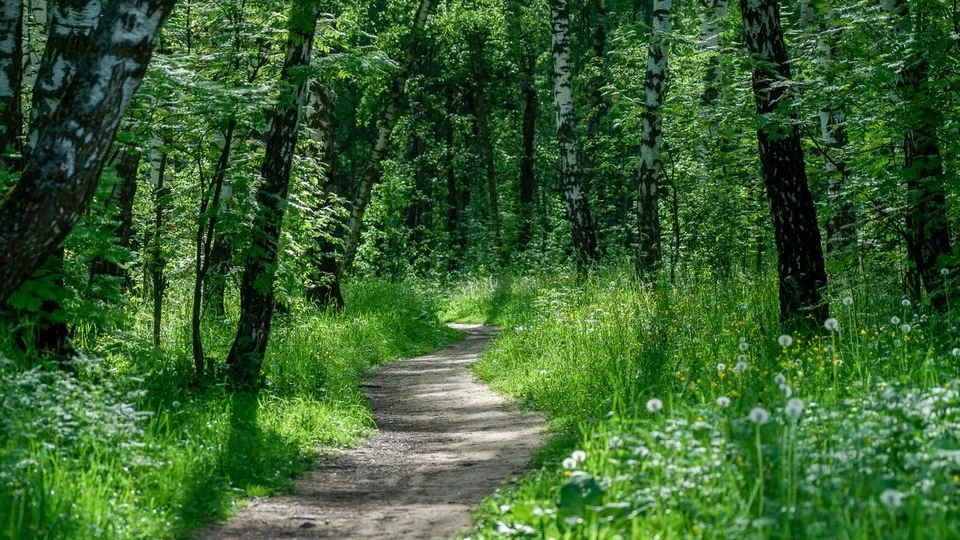 Фото: медиасток.рф