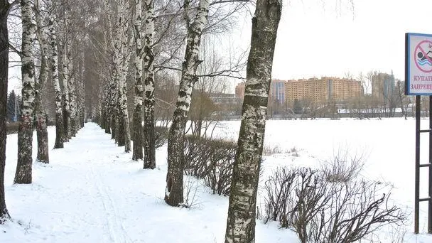Сайт администрации Реутова