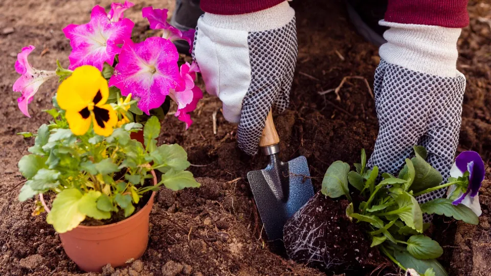 Фото: freepik.com