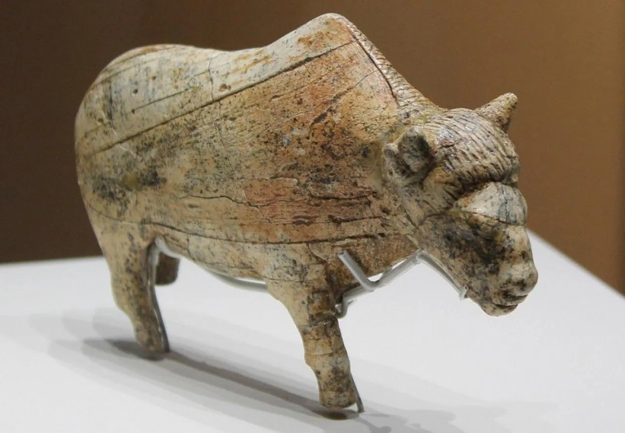 Фото: пресс-служба администрации г.о. Зарайск