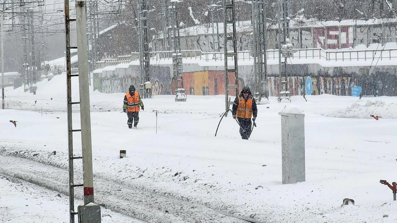 МедиаБанк Подмосковья/Валерия Исаева