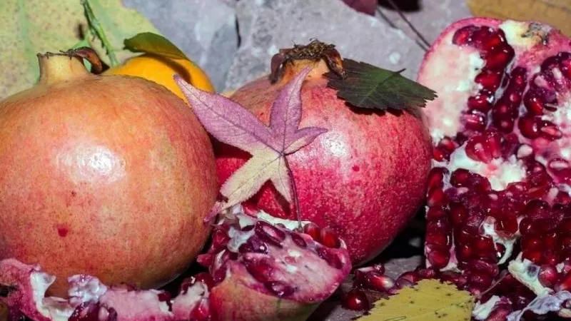 Ученые назвали фрукт, который способен защитить от коронавируса