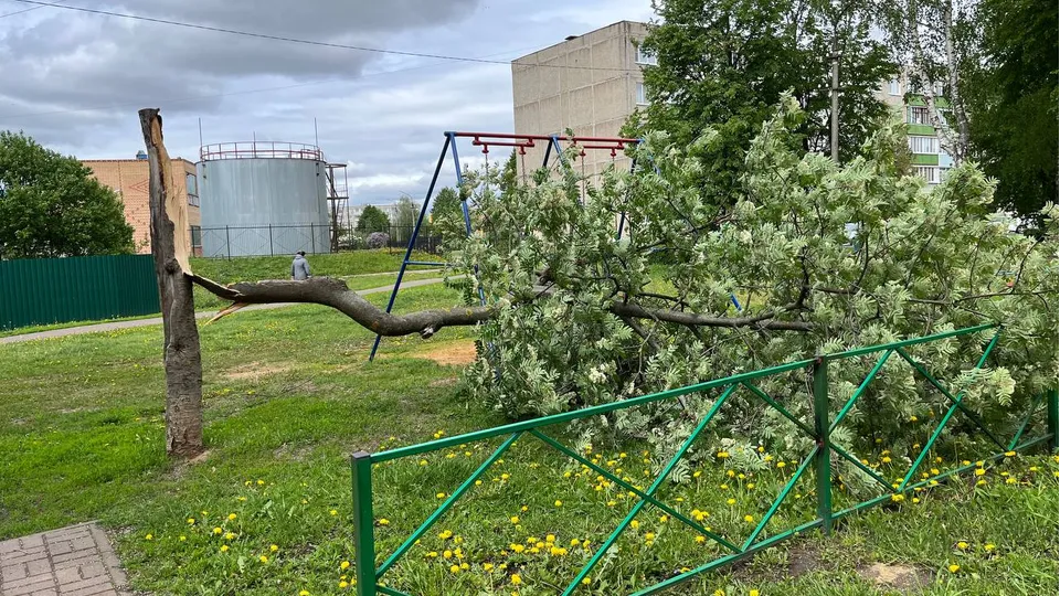 Фото: пресс-служба администрации м.о. Серебряные Пруды