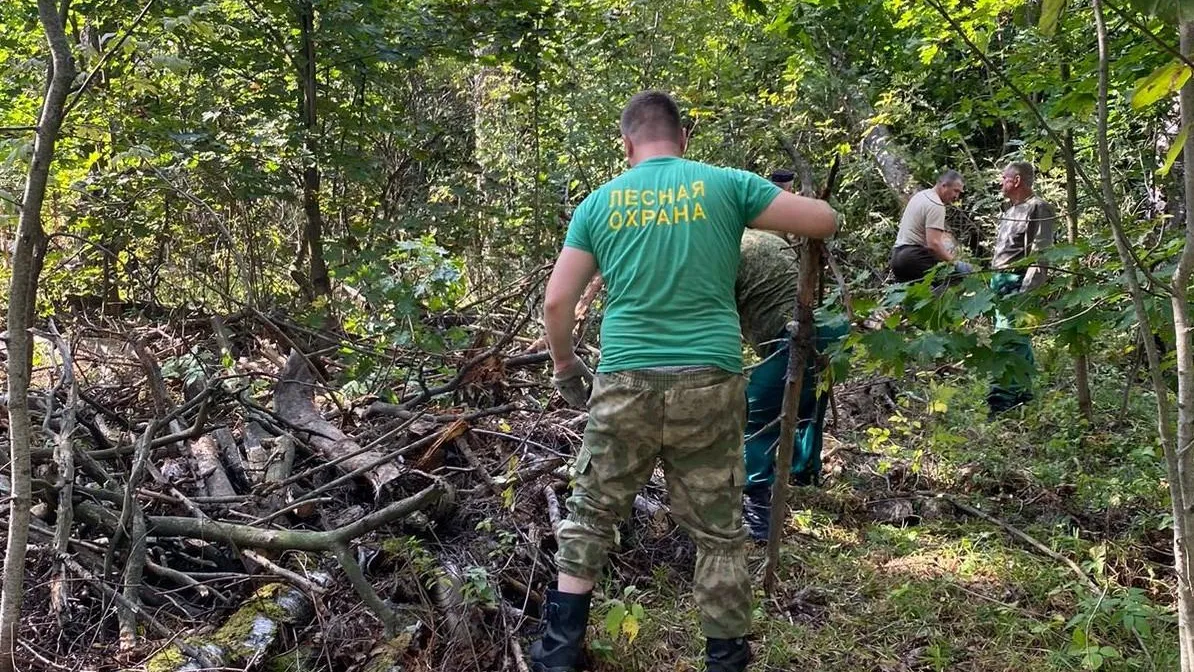 Комитет лесного хозяйства МО
