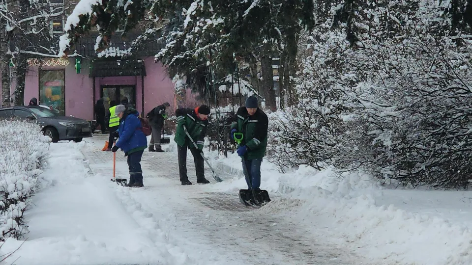 Фото: МедиаБанк Подмосковья/Максим Сафронов