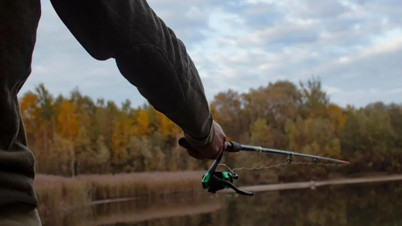 istockphoto.com/vadishzainer