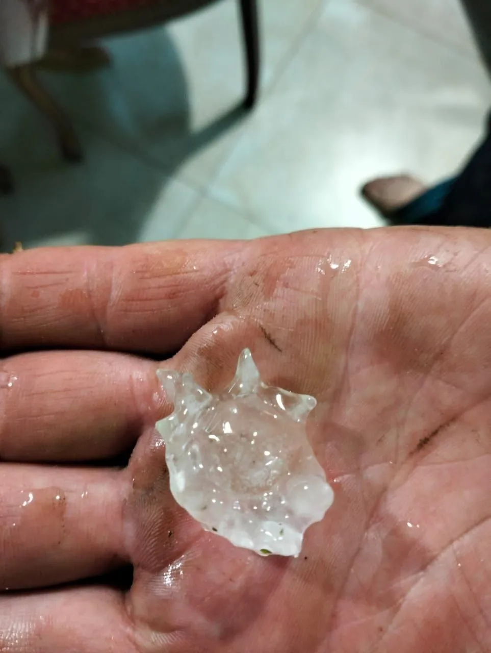 Фото: Aleksandr/ телеграм-канал