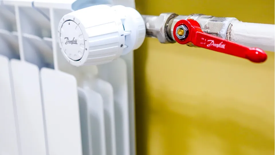 Фото: пресс-служба администрации г.о. Кашира