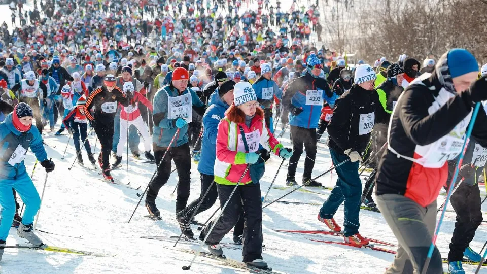 Фото: пресс-служба администрации г.о. Химки