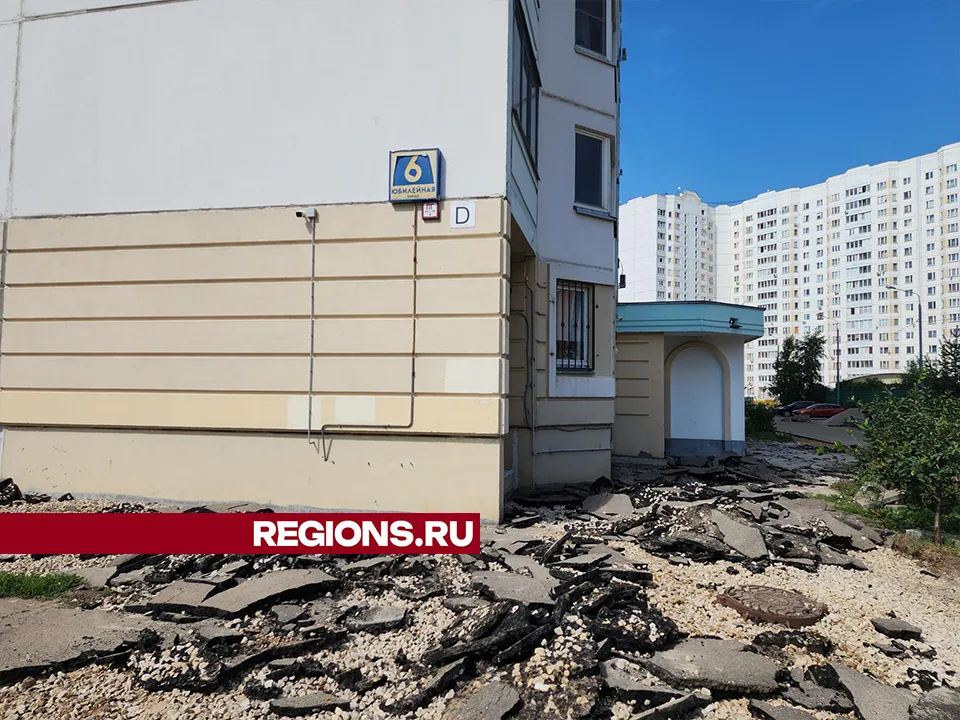 Фото: Александр Степушкин