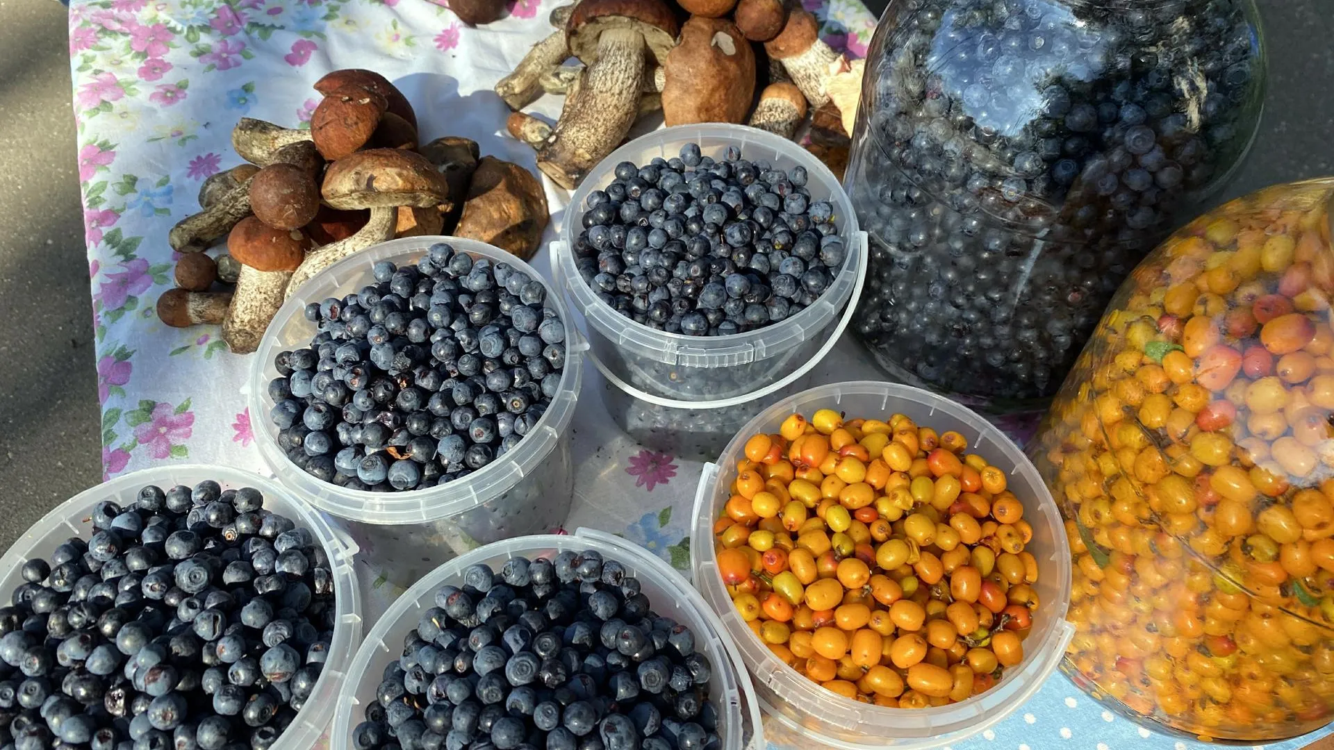 Alexander Legky/Global Look Press